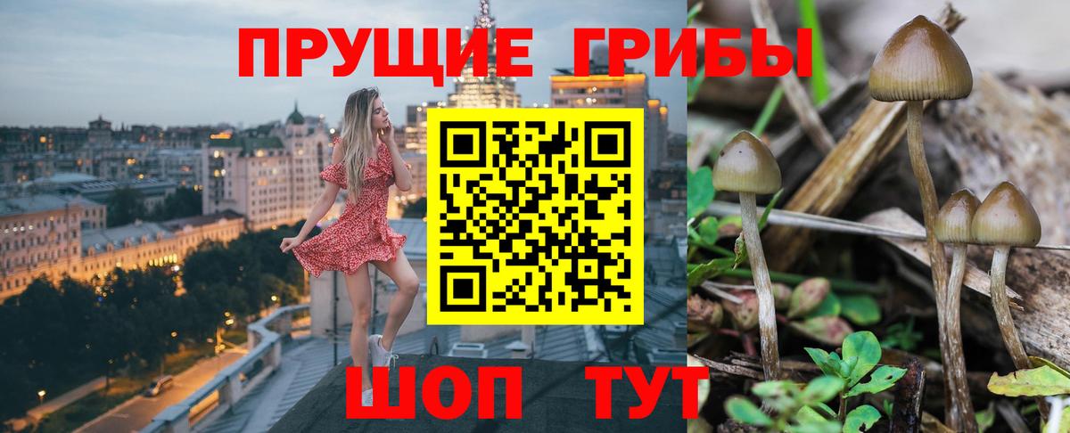 Псилоцибиновые грибы MAGIC MUSHROOMS  Вход с VPN  Сибай 